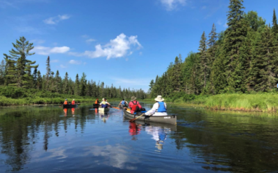 Still Paddling