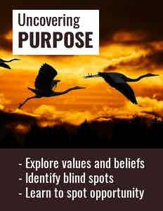 Three flying storks silhouetted against an orange sky, with the words: Uncovering purpose; Explore values and beliefs; Identify blind spots; Learn to spot opportunity