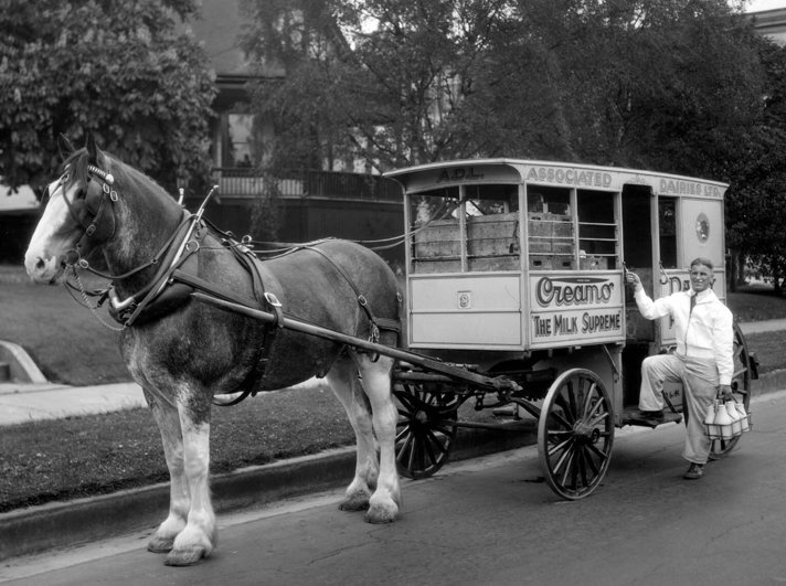 Associated Dairies horse drawn delivery wagon with milkman.